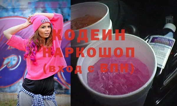 шишки Белокуриха