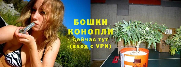шишки Белокуриха