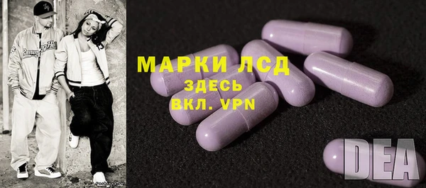 шишки Белокуриха