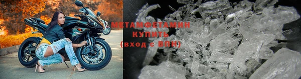 шишки Белокуриха